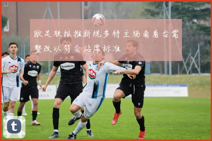 欧足联拟推新规多特主场南看台需整改以符合站席标准